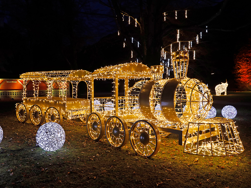 蒸気機関車のイルミネーション