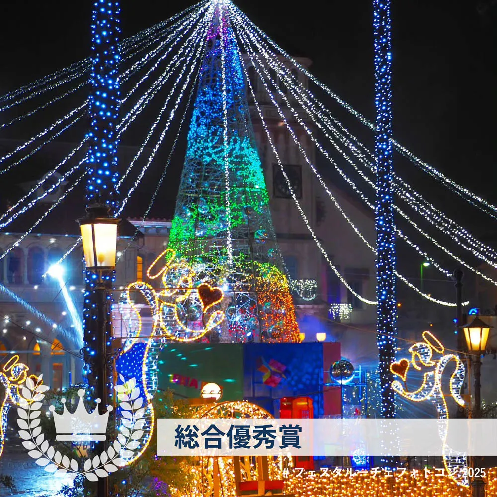 タイトル「祈りは、樹を伝って空へ。」