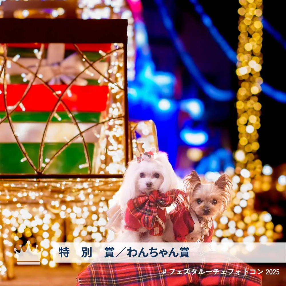 タイトル「星の駅発キラキラ列車の旅に出よう」